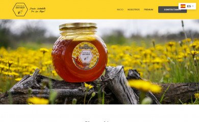 apicolasantateresita.cl screenshot