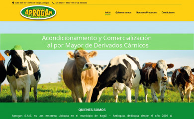aprogan.com screenshot