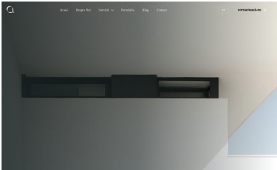 apunct.ro screenshot