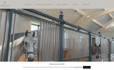 archipp.com.pl screenshot