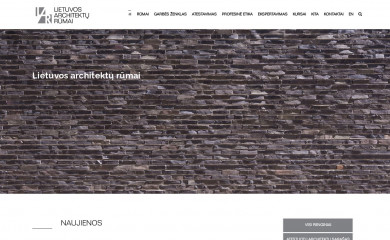 architekturumai.lt screenshot