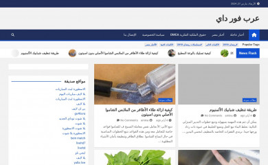 arab4day.com screenshot