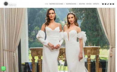 aracelybarrenechea.cl screenshot