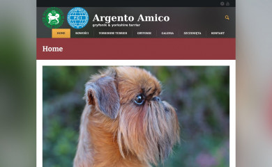 argentoamico.com screenshot