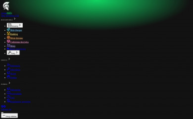 arenaskilla.pl screenshot
