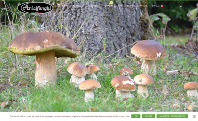 aricifunghi.it screenshot