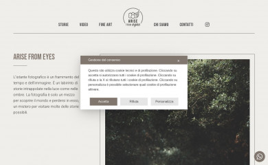 arisefromeyes.com screenshot