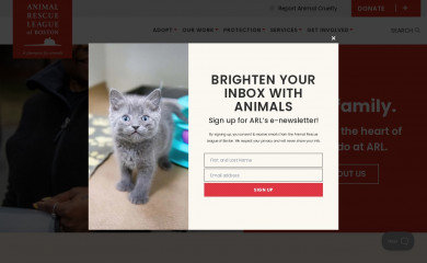 arlboston.org screenshot