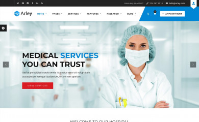 http://arley.thememountdemos.com/ screenshot