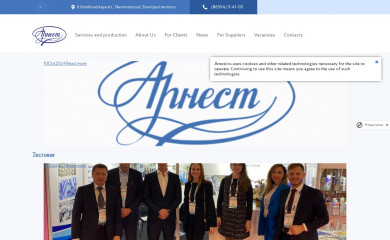 arnest.ru screenshot