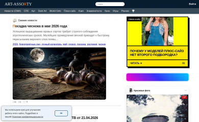 art-assorty.ru screenshot