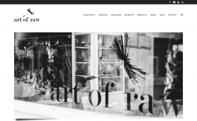 artofrawfood.com screenshot