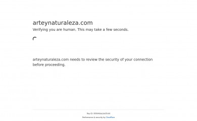 arteynaturaleza.com screenshot