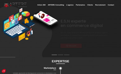artere-ecommerce.com screenshot