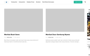 artikel.co screenshot