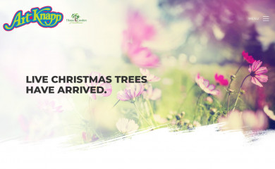 artknappkamloops.ca screenshot