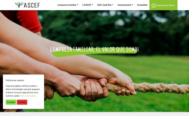 ascef.com screenshot