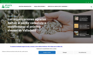 asajaleon.com screenshot