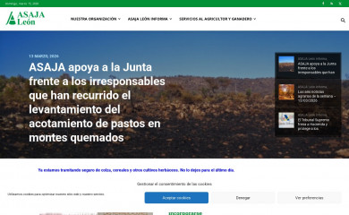 asajaleon.com screenshot