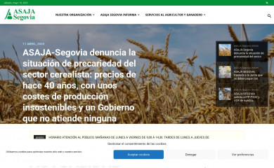asajasegovia.com screenshot