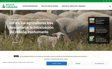 asajavalladolid.com screenshot
