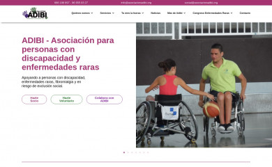 asociacionadibi.org screenshot