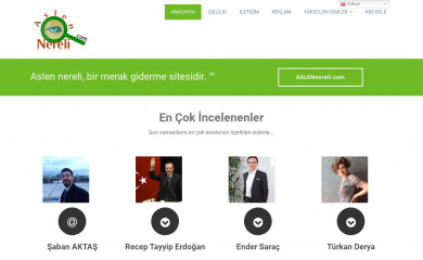 aslennereli.com screenshot