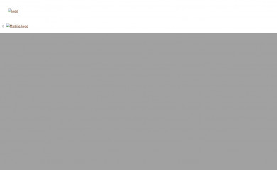 assetlink.online screenshot