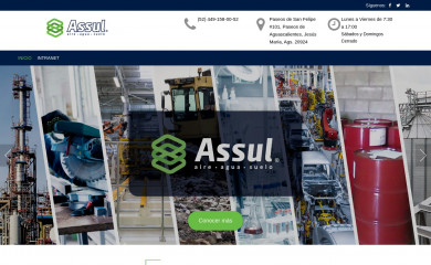 assulmexico.com screenshot