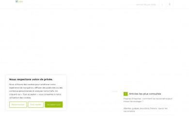 aspivenin.com screenshot