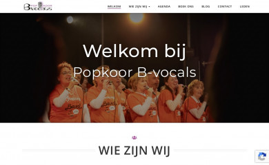 b-vocals.nl screenshot