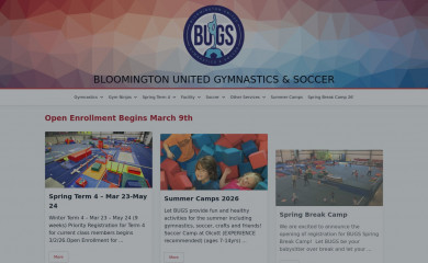 bugsgym.com screenshot