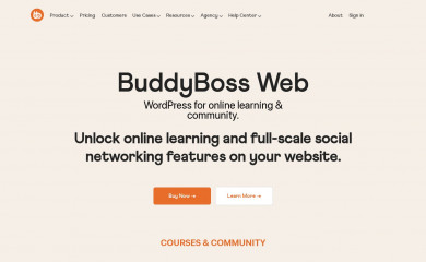 https://www.buddyboss.com/ screenshot