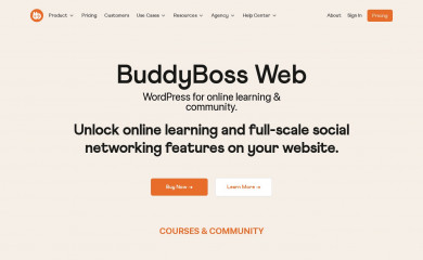 https://www.buddyboss.com/ screenshot