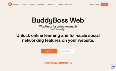 https://www.buddyboss.com/ screenshot