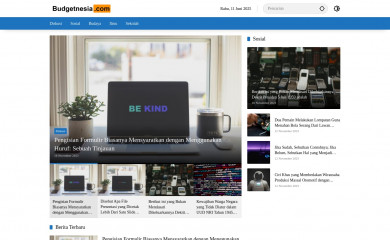 budgetnesia.com screenshot