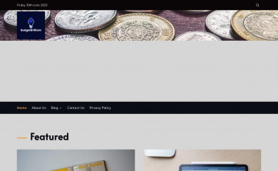 budgetbrilliant.com screenshot