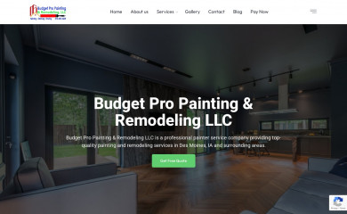 budgetpropainter.com screenshot