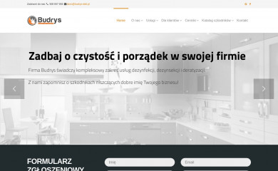 budrys-ddd.pl screenshot