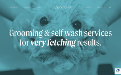 buffalolaundromutt.com screenshot