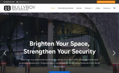 bullyboy.co.nz screenshot