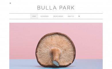bullapark.com screenshot