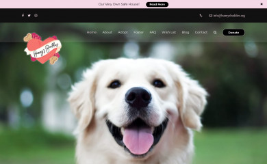 bunnysbuddies.org screenshot