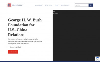 bushchinafoundation.org screenshot