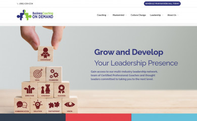 businesscoachingondemand.com screenshot