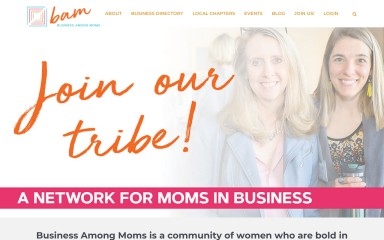 businessamongmoms.com screenshot