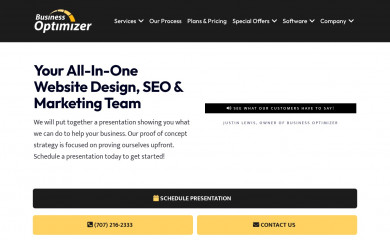 https://businessoptimizer.org screenshot