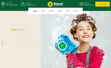 busybeescleaners.co.uk screenshot