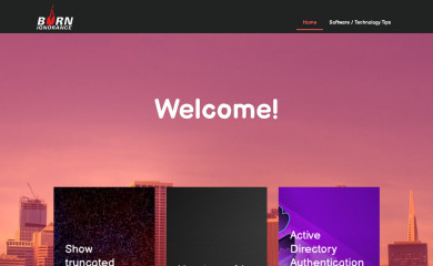 burnignorance.com screenshot