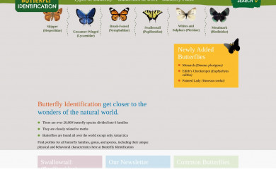 https://www.butterflyidentification.com/ screenshot